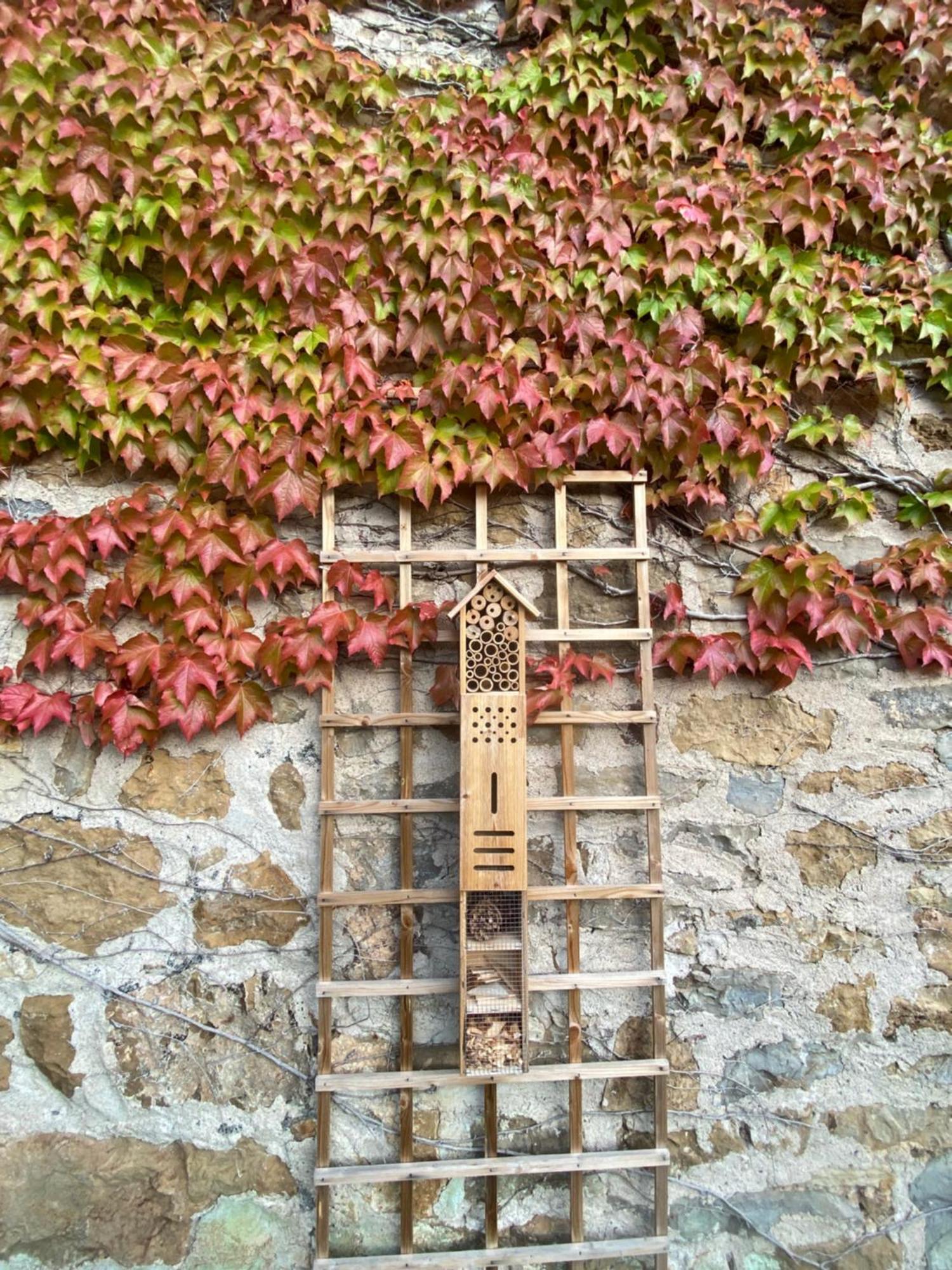 Les Caselles, Gite Et Maison D'Hotes Saint-Beauzely Exterior foto